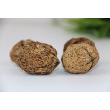 Non-GMO Unwashed In-Shell Walnuts