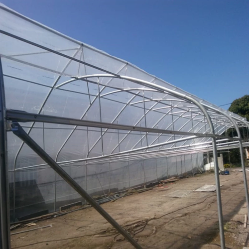 Cheap Single Span film blackout Tunnel Greenhouse Manufacturers and Cheap Single Span film blackout Tunnel Greenhouse Suppliers