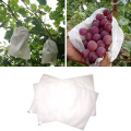 100Pcs/Lot Fruit Vegetable Protection Bag Grapes Mesh Bag Against Insect Pouch Waterproof Pest Control Anti-Bird Garden Tool
