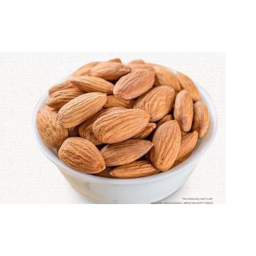 New product original Badan wood kernel American Almond 500g Almond in bulk Daily nut snack