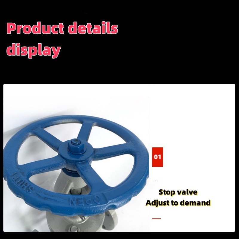 Cast steel gate valve (12)