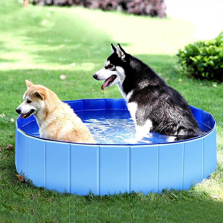 Foldable Dog Pool Dog Paddling Pool Kiddie Pool 1