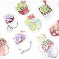 30pcs/lot Shaped postcards "succulent plants funs" greeting cards paper hand-drawn illustrations postcard festival