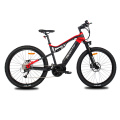 Quality Low Carbon Environmental Protection Electric Bicycle