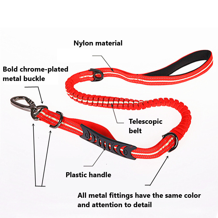 Belt For Dog Leash