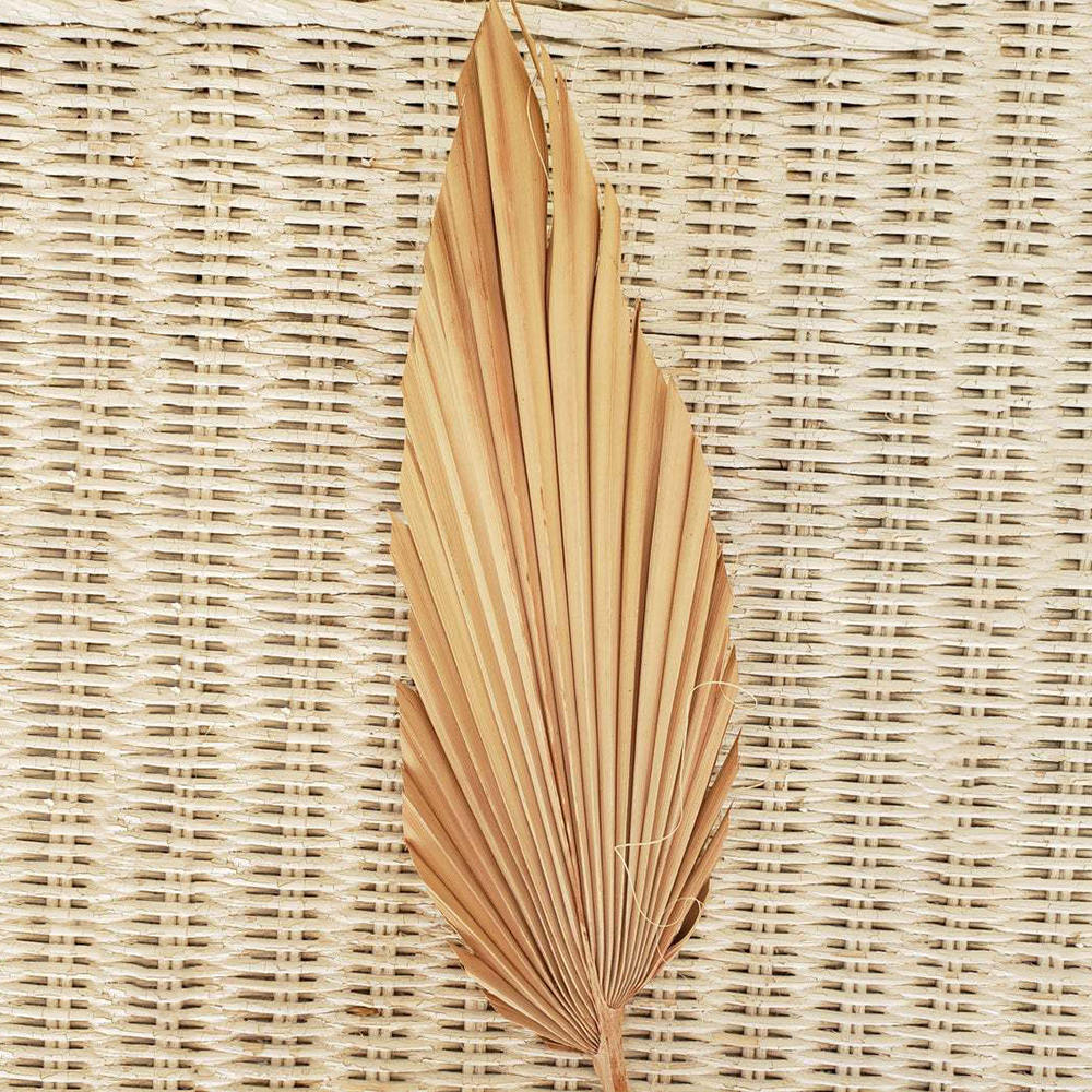Palm Fan Leaf Dried Flower Natural Dried Palm Leaf Fan Plant DIY Party Art Wall Hanging Wedding Decor