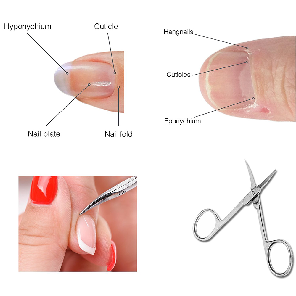 Dighealth Curved Head Eyebrow Scissors Nail Cuticle Nipper Makeup Trimmer Dead Skin Remover Manicure Scissors Brow Nail Tool