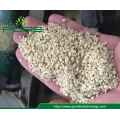 AA Grade Shelled Hemp Seeds /Hulled Hemp Seed