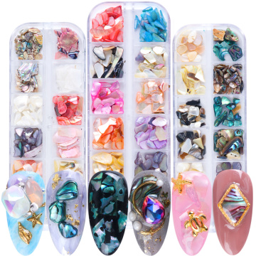 12 Grids Abalone Shell Nail Holographic Nail Art Decorations Stone Slice Glitter Flake Nail Polish Sequins Manicure JIRB01-04-1