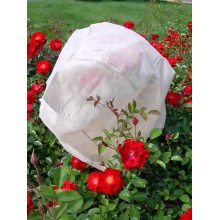 Agriculture PP Non Woven Fabric Plant Shade