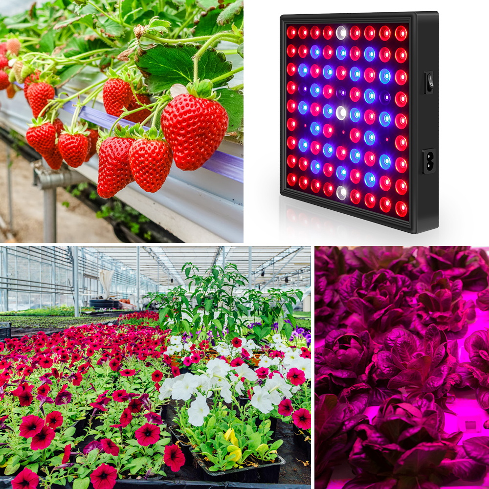 Full Spectrum 2000W LED Grow Light with 2835 LED Chip Promote Plant Growth Phytolamp for Indoor Plant Use Waterproof Material