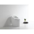 Ceramic WC Toilet with Soft Closing Seat Cover