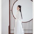 Elegant Ancient Princess Fairy Costume Chinese Traditional Hanfu Clothing Stage Performance White Chinese Dress Women Cosplay