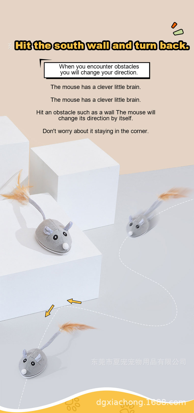 Funny Mouse Jpg
