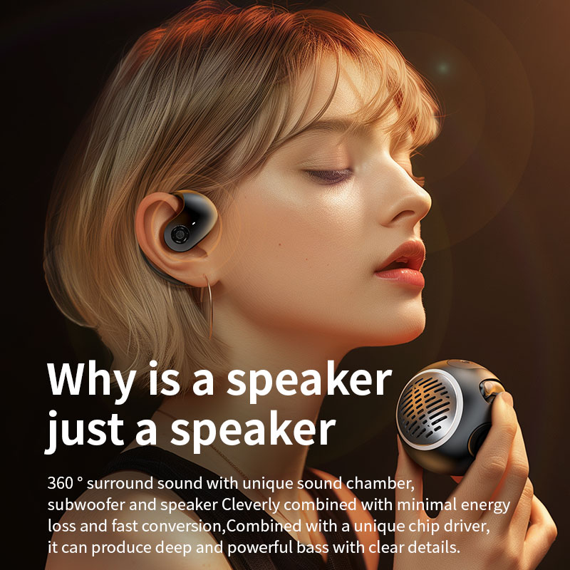 Earphone and speaker 6