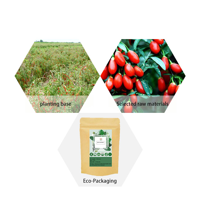 Fresh Dried Organic Goji Berry Extract  Natural Chinese Wolfberry Extract  20:1 Polysaccharides