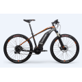 Customized Electric Cycle With Gear