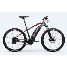 Customized Electric Bike For Men