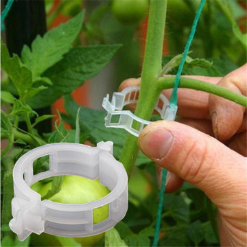 50pcs/Lot Reusable 25mm Plastic Plant Support Clips clamps For Plants Hanging Vine Garden Greenhouse Vegetables Tomatoes Clips