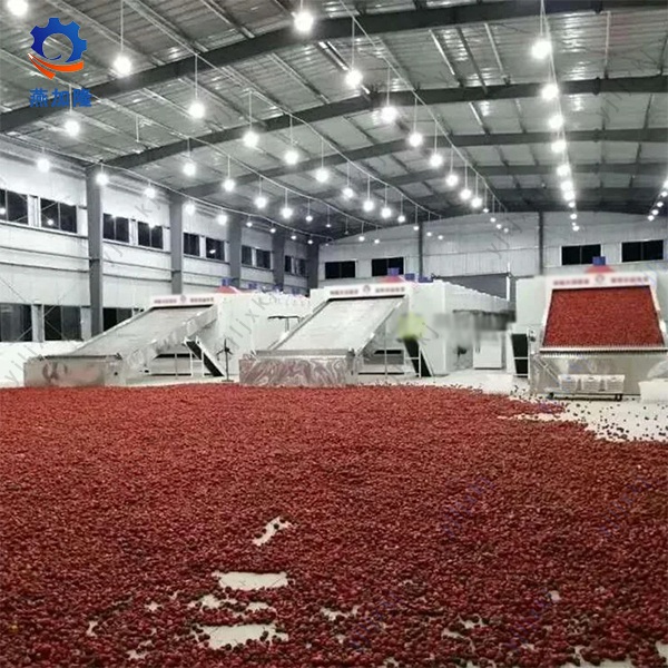 Industrial Electric Pilot Drying Dryer Machine
