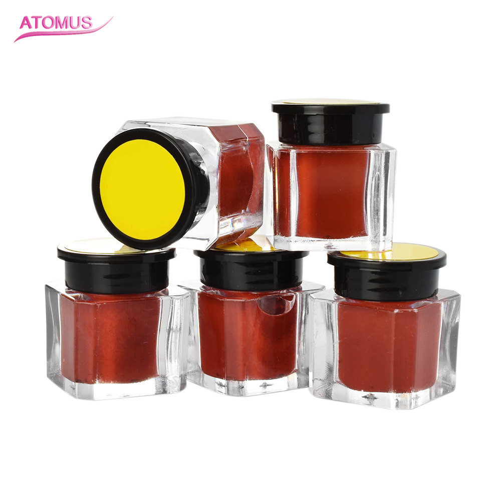5pcs Tattoo Microblading Pigment Professional Makeup Practicing Eyebrow Paint For Microblading Eyebrow Micro Tattoo Ink Set Lips