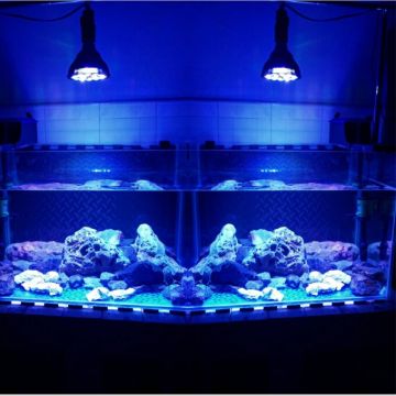 Black spotlight LED Aquarium light led pet Lighting fish tank lamp plant bulb 50/54W for saltwater marine coral reef sump algae