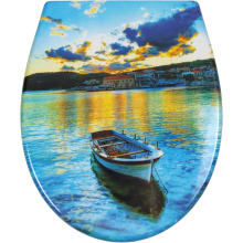 Duroplast Soft Close Toilet Seat in boat pattern