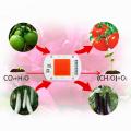 10pcs/lot LED Grow Light Full Spectrum COB Chip No Need Driver 220V 110V 50W 30W 20W 10W Growth Flower Seedling Grow Plant Lamp