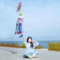 55cm 70cm 100cm 150cm Koi Nobori Carp Wind Socks Koinobori Colorful Fish Flag Hanging Wall Decor