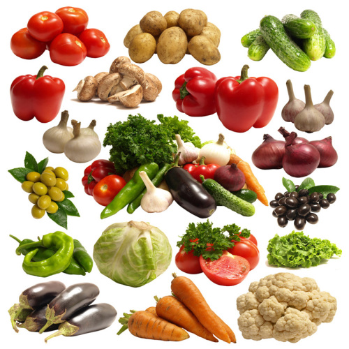 Automatic Egg Washing Machine Sprayer Washing Machine for Sale, Automatic Egg Washing Machine Sprayer Washing Machine wholesale From China