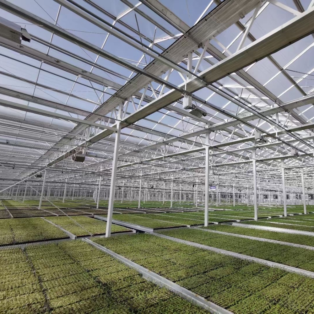 Arched PC Greenhouse