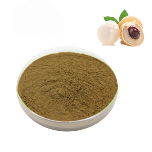 Pure dimocarpus longan extract Dried Longan Pulp Extract for Sale, Offer Pure dimocarpus longan extract Dried Longan Pulp Extract