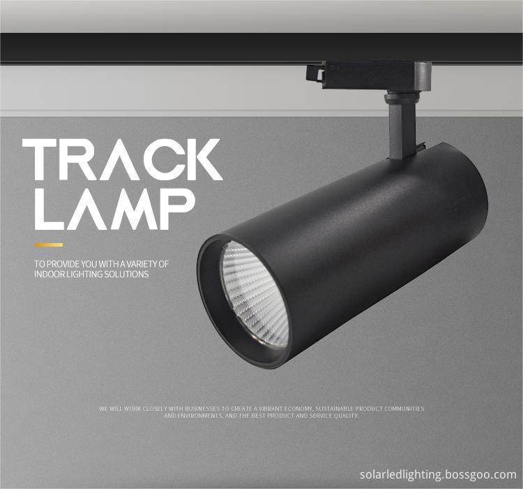 Multi-functional LED magnetic light