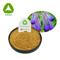 Shikone Extract Arnebia Root Extract Powder 10:1