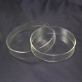 Chemical Instrument 60mm Clear Glass Petri Dishes Affordable For Cell Clear Sterile Drop Shipping