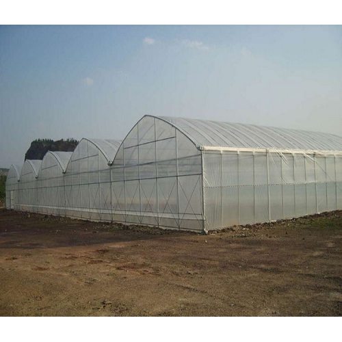 Commercial Hydroponic Plastic Film Green House Manufacturers and Commercial Hydroponic Plastic Film Green House Suppliers