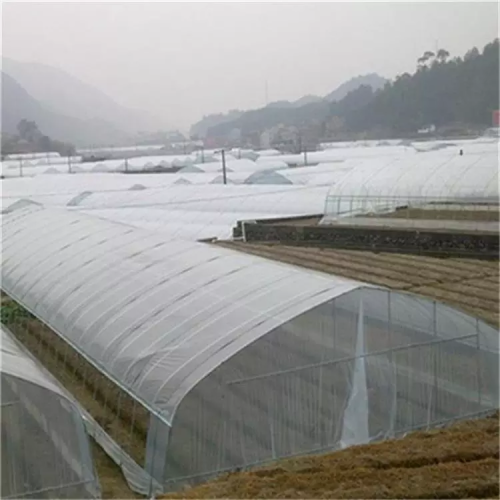 Multi-span plastic film Greenhouse tomato greenhouse Manufacturers and Multi-span plastic film Greenhouse tomato greenhouse Suppliers