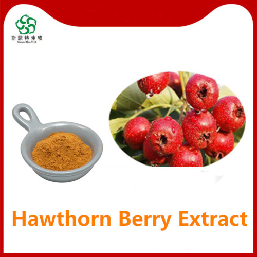 Hawthorn Extract Hawthorn 5%-30% Flavonoids for Sale, Offer Hawthorn Extract Hawthorn 5%-30% Flavonoids