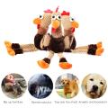 Dog Interactive Toy Cleaning Teeth Squeaky Interactive Animal Shaped Cotton Rope Dog Toy Pet Training Products Pet Chew Toys
