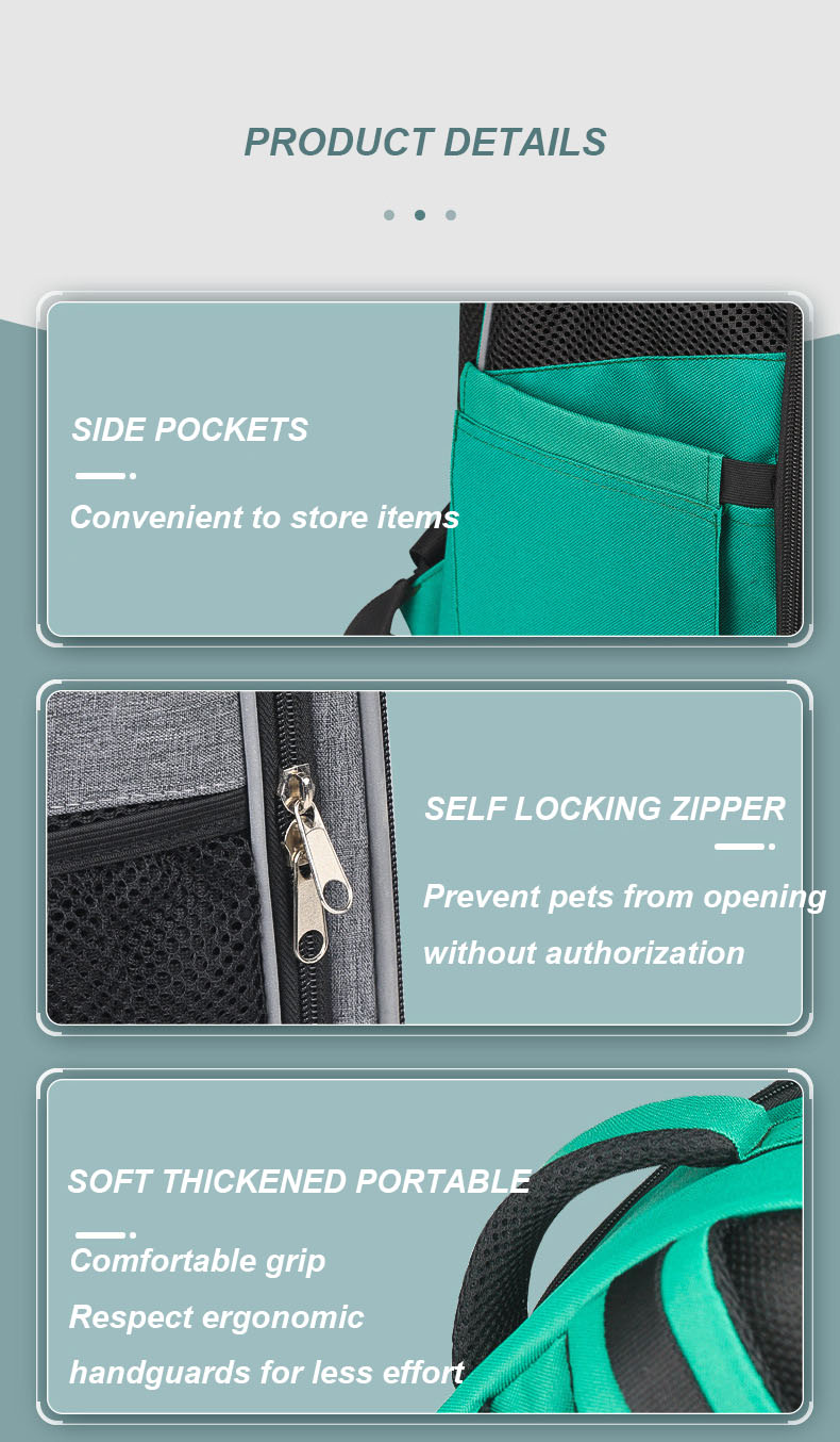 Pet Travel Carrier