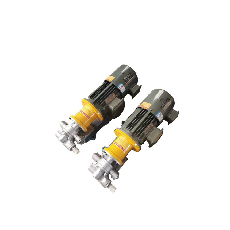 Stainless Steel Gear Pump Magnetic Pump Leak Free Gear Pump6