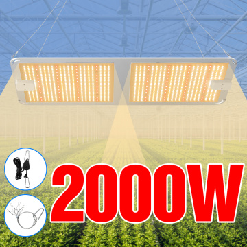 4000W Phyto Lamp For Indoor Plant Grow LED Panel Light 2000W 1000W Flower Cultivation Lamp LED Full Spectrum Seedling Fito Light