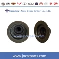 Chery Auto Spare Parts Valve Oil Seals 480-1007020