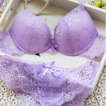 Women Bra Sets Lady Cute Sexy Underwear Satin Lace Embroidery Bra Sets With Panties