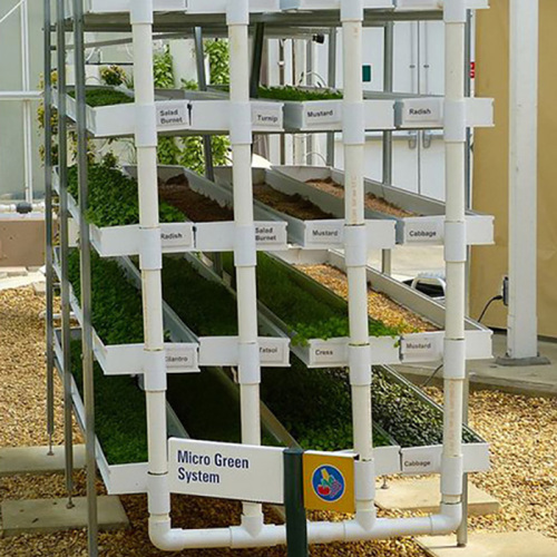 Large Scale Hydroponic Microgreen Rack Manufacturers and Large Scale Hydroponic Microgreen Rack Suppliers