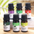 MISHIU 6Pcs/set Pure Natural Essential Oil Set Humidifier Rosemary Peppermint Massage Aromatherapy Fragrance Set Gift Box 10ML