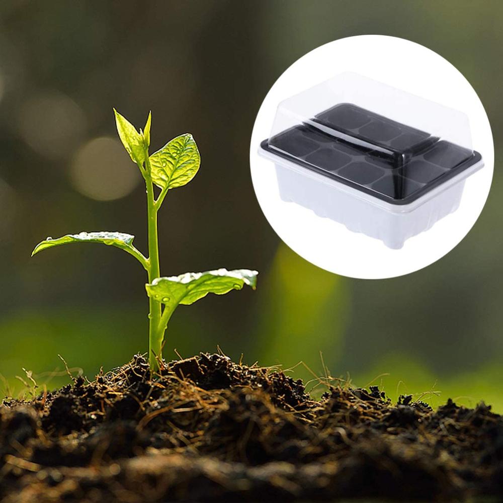 5/10Pcs Sprouting Trays Planting Seedling Trays Germination Trays Crop Cultivation Trays Succulent Plant Plate