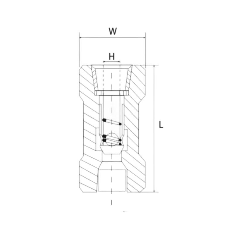 Threaded Air Compressor Check Valve (4)