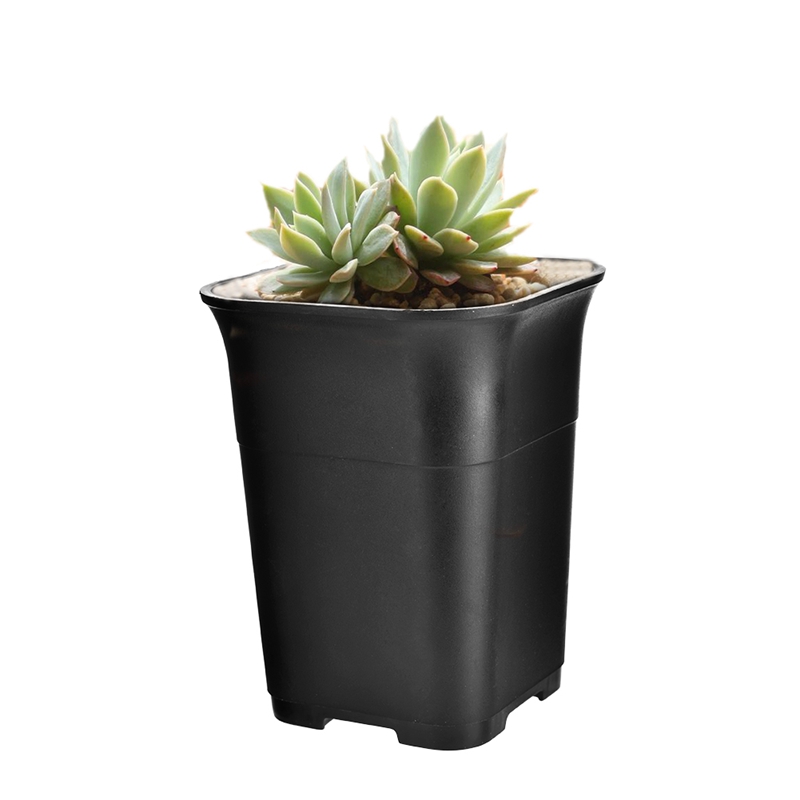 5Pcs Black Square High Waist Mini Nursery Pot Planter Succulent Plant Pot Small Flower Planters