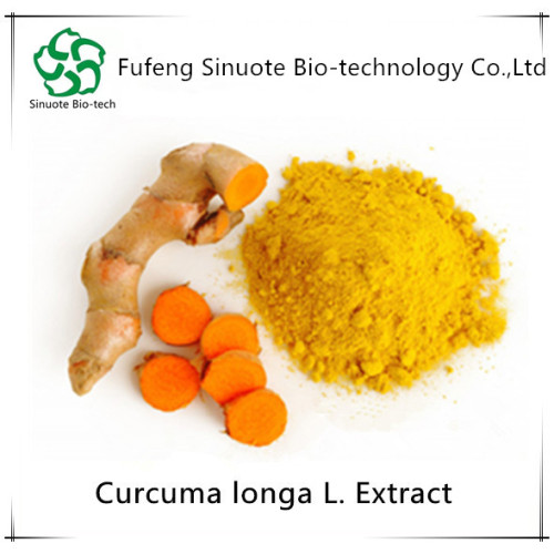 Supply Plant Turmeric Root Extract Curcumin95% for Sale, Offer Supply Plant Turmeric Root Extract Curcumin95%